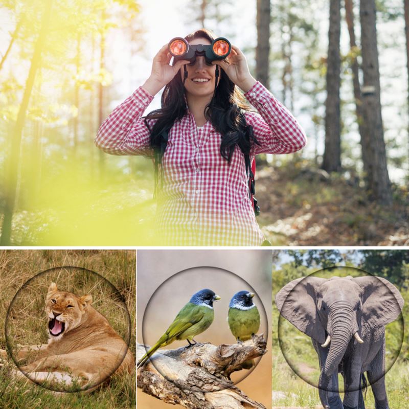 Binóculos Profissional HD 80x80 | Longo alcance & Visão Noturna POPLAR1560